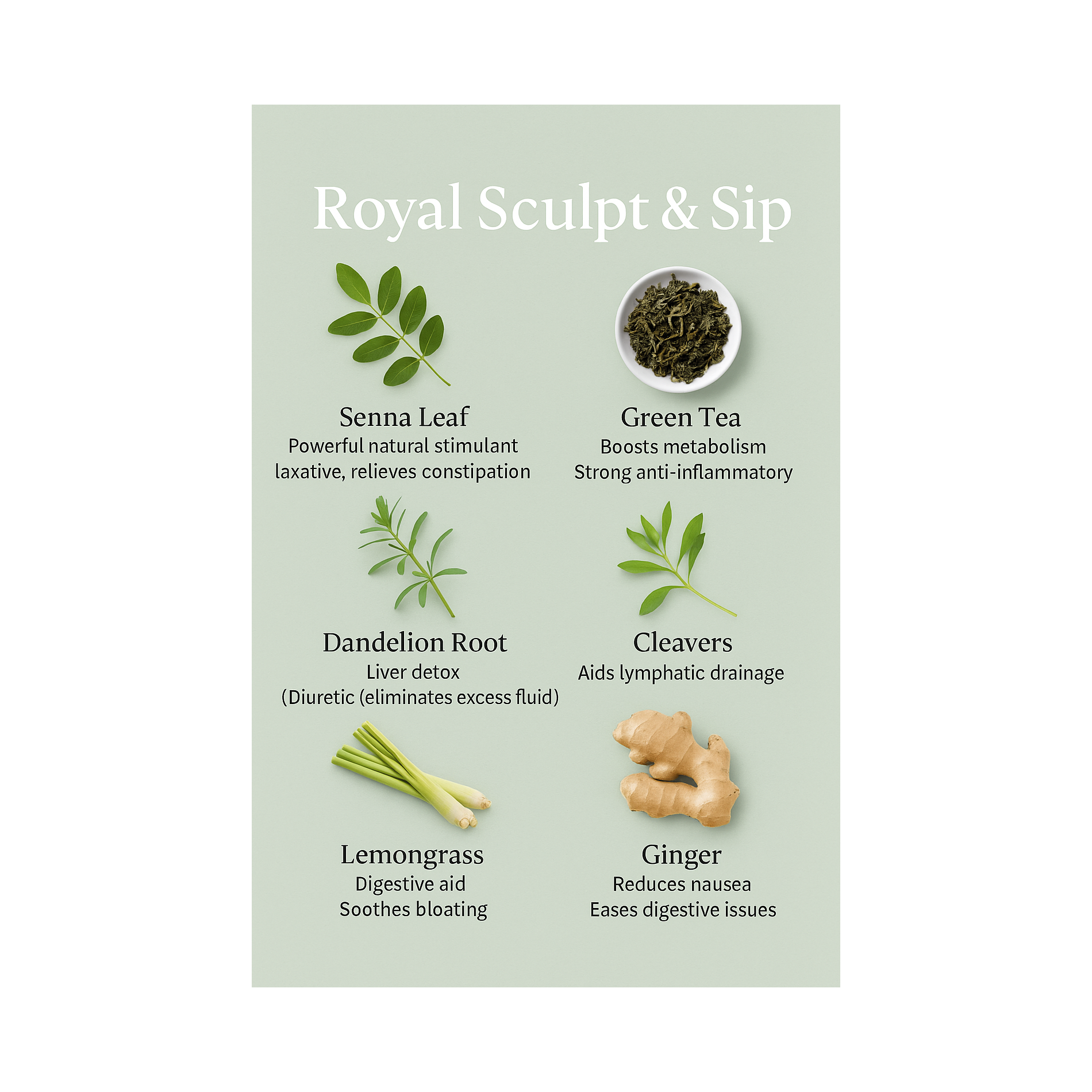 Sculpt & Sip Slim (5 Tea bags)