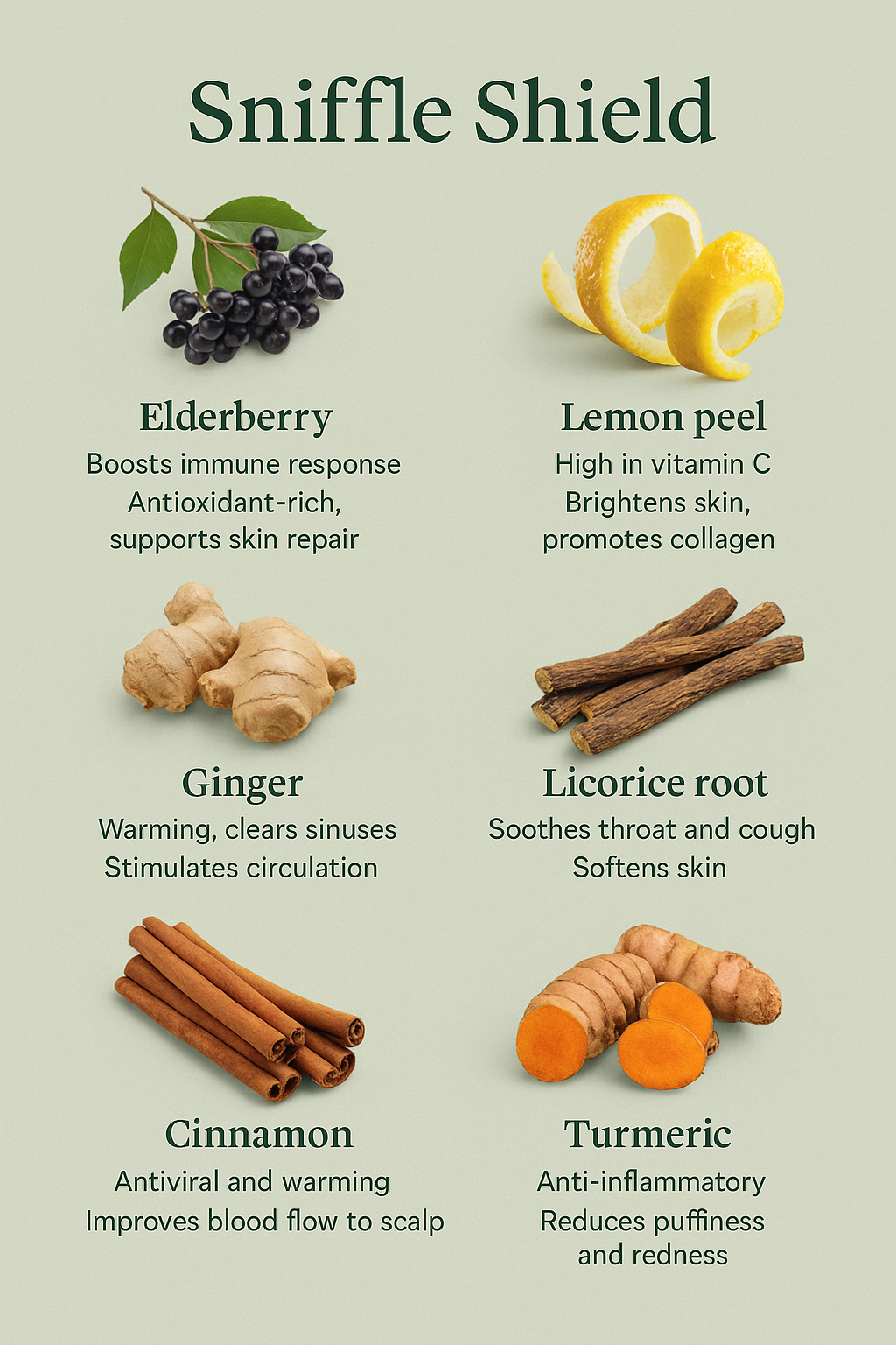 Sniffle Shield (Kids’ Immunity Tea) (7 Tea Bags)