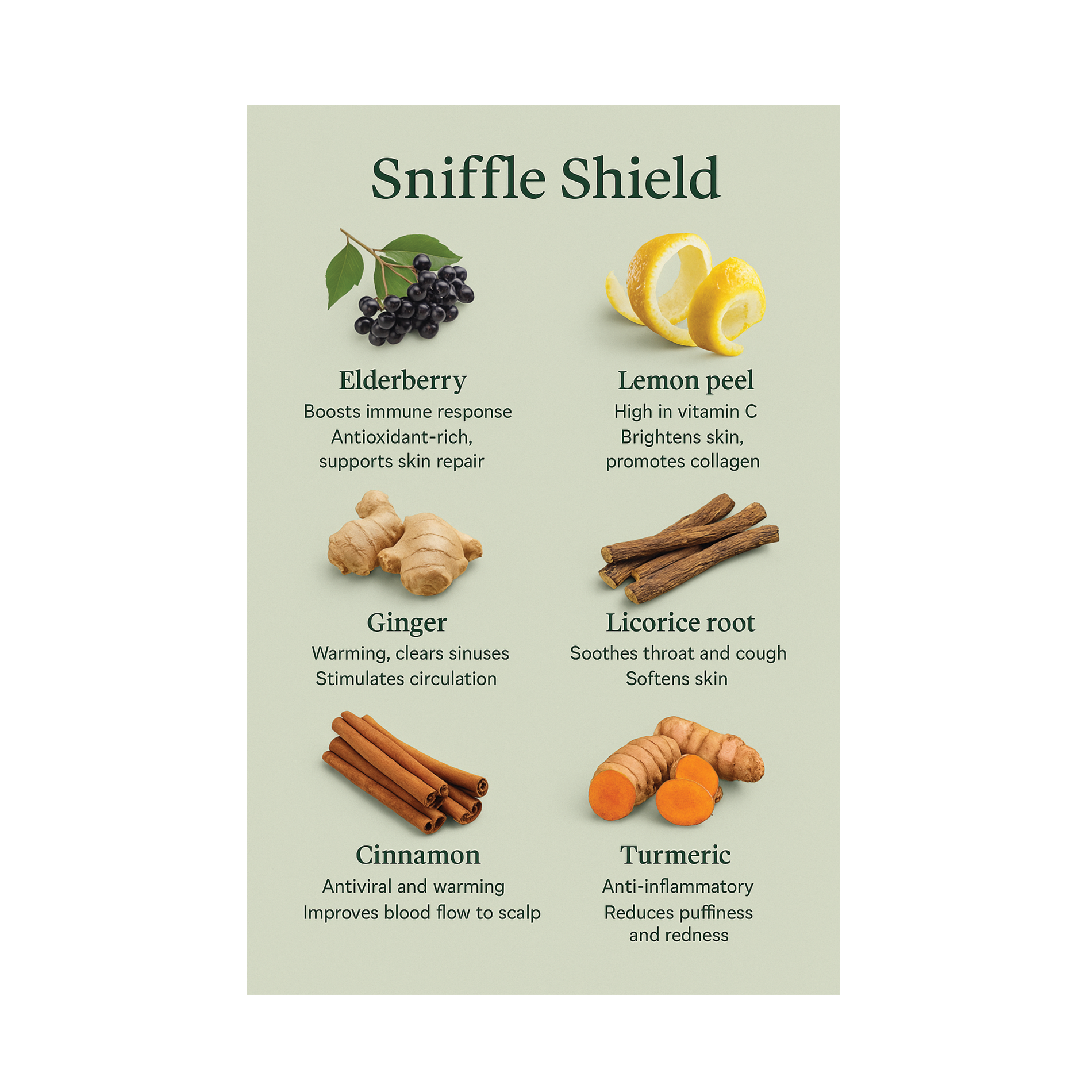 Sniffle Shield (Kids’ Immunity Tea)