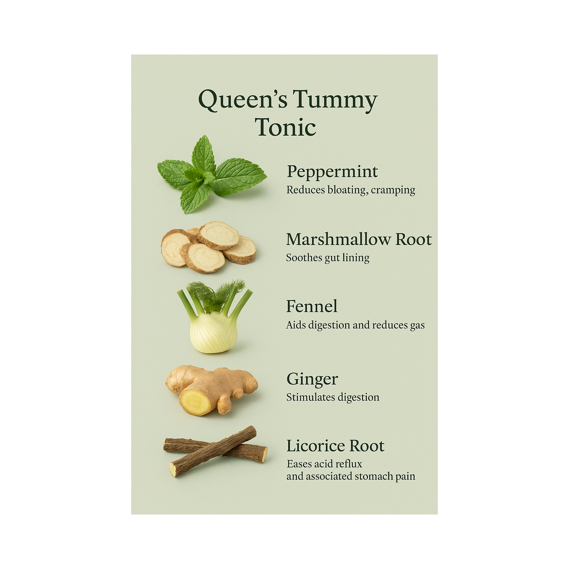 Queen Tummy Tonic